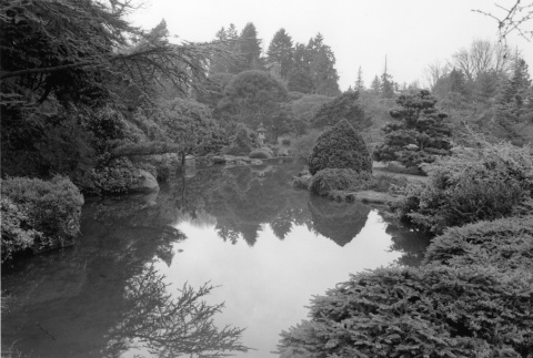 Pond in the Japanese Garden (ddr-densho-354-774)