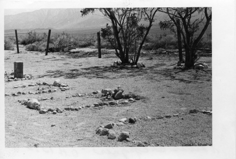 [Photograph of incarceration camp cemetery] (ddr-csujad-29-211)