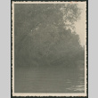 Just a snap (ddr-densho-378-943)