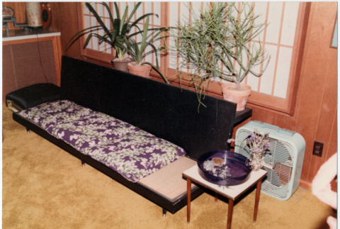 Room with couch and plants (ddr-densho-534-60)
