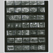 Contact sheet (ddr-densho-1007-291)