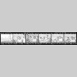 Negative film strip for Farewell to Manzanar scene stills (ddr-densho-317-110)