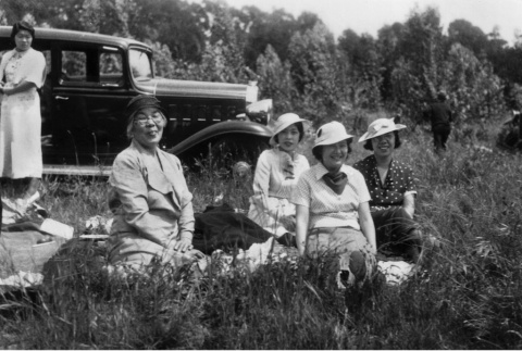 Group of women at a picnic (ddr-ajah-6-531)