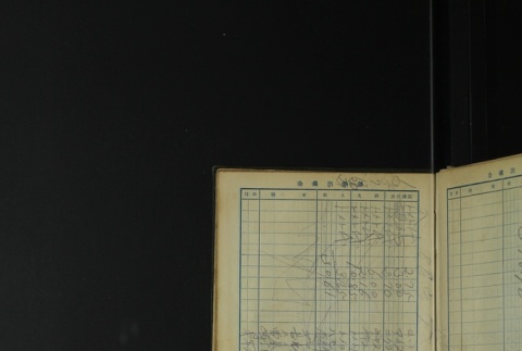 Page 397 (ddr-densho-255-1-master-0bf4c9d1b5)