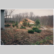 Pool house (ddr-densho-377-2651)