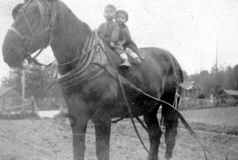 Two children on a horse (ddr-densho-2-17)