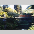 4th International Japanese Garden Assoc. (ddr-densho-354-1570)