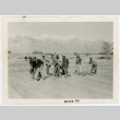 Photograph of a group of men tilling a Manzanar farm with the Sierra Nevada in the background (ddr-csujad-47-55)