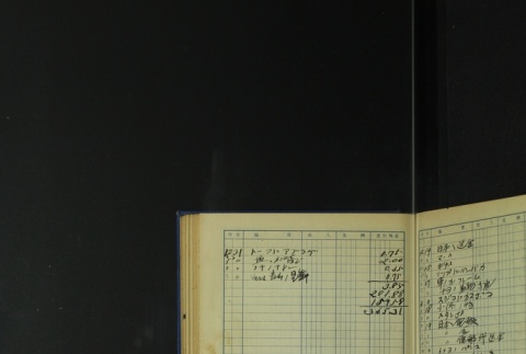 Page 419 (ddr-densho-255-5-master-de8c991b10)
