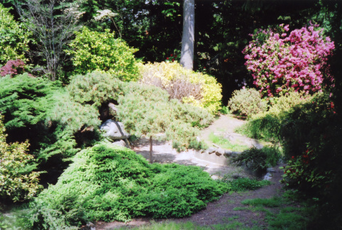 Kubota Garden (ddr-densho-354-1627)