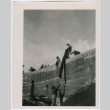 Lowering log over a wall (ddr-densho-377-1611)