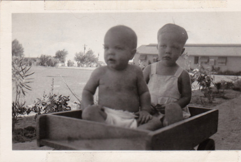 Two brothers in a wagon (ddr-densho-315-15)
