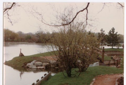 Bushes in front of bridge (ddr-densho-377-2126)