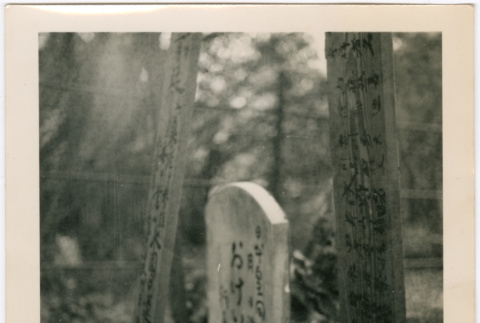 Grave marker (ddr-densho-423-475)
