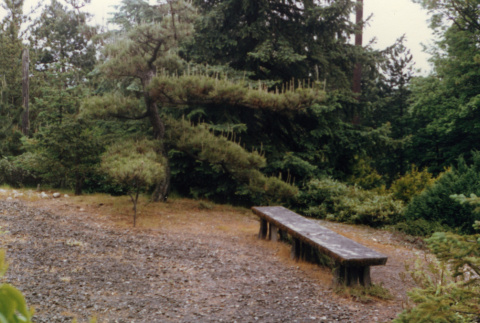 Bench near Memory Stone.  Bench was formerly at Broadway High School (ddr-densho-354-515)