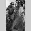 Fujitaro Kubota and assistant setting a stone, Seattle University (ddr-densho-354-2082)
