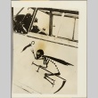 Photograph of a skeleton image painted on a Messerschmidt plane (ddr-njpa-13-857)