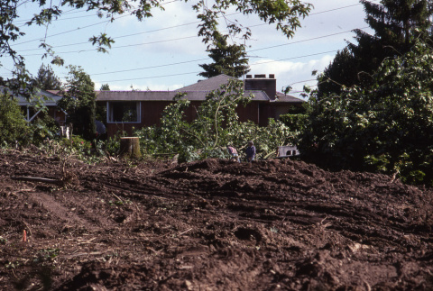 Cleared area in the Garden in front of the brown house (not KG?) (ddr-densho-354-1062)