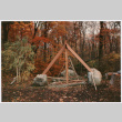 Gazebo roof under construction (ddr-densho-377-2449)