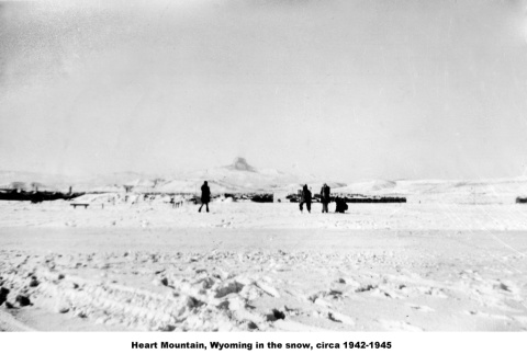 Snowy field with Heart Mountain in background (ddr-ajah-6-686)