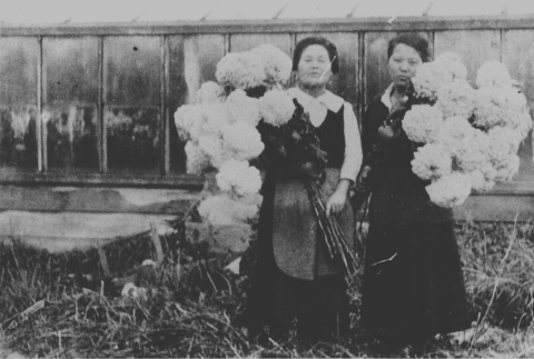 Two women holding chrysanthemums (ddr-densho-34-25)