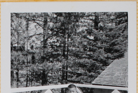 Boy standing on deck (ddr-densho-522-408)