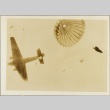 German paratroopers jumping out of a plane (ddr-njpa-13-850)