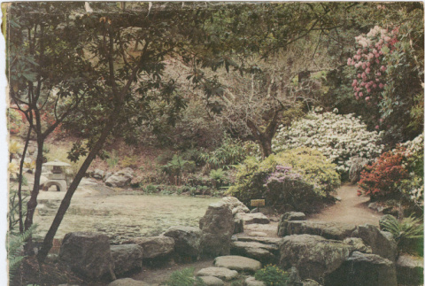 The University of California Botanical Garden's Japanese Pool on a phone book cover (ddr-densho-377-4)