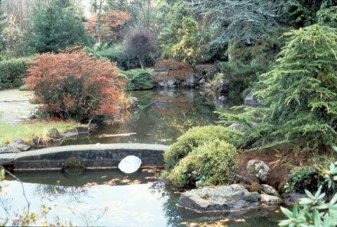 Japanese Garden pond, looking East (ddr-densho-354-2643)