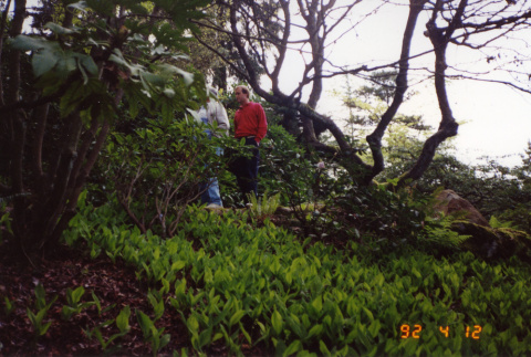 Tom Kubota and walking through the Garden (ddr-densho-354-426)