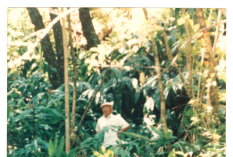 Bill Iino in forest (ddr-densho-368-292)