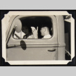 Two people in a truck (ddr-densho-542-766)