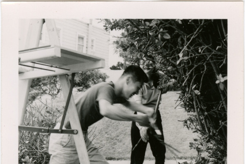 Tomoye (Nozawa) Takahashi and unidentified man pruning a bush (ddr-densho-426-2462)