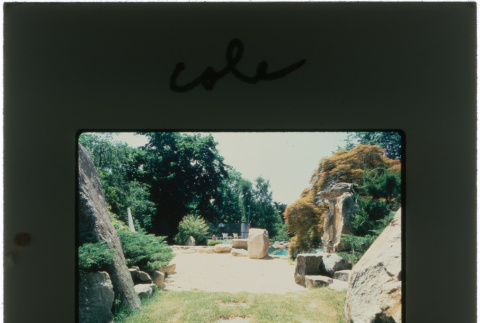 Pool and garden at the Cole project (ddr-densho-377-405)