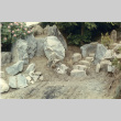 Stone steps in Madison Park (ddr-densho-354-178)
