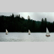 Sailboats on the lake (ddr-densho-336-399)