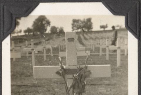 Cross with flowers in row of crosses (ddr-densho-466-685)