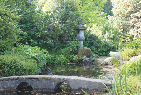 Eyeglass bridge and stone lantern, Japanese Garden pond (ddr-densho-354-2873)