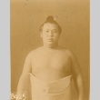 Sumo wrestler (ddr-njpa-4-2053)