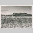 View from Tule Lake (ddr-densho-345-92)