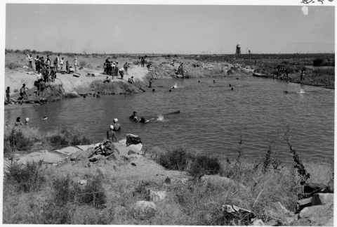 Japanese Americans swimming in irrigation canal (ddr-densho-37-326)