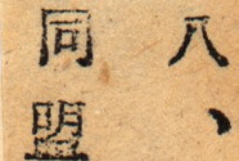 Back (ddr-njpa-4-848-mezzanine-31b9538744)