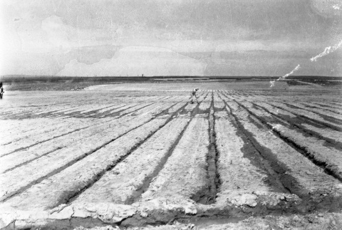 Agriculture fields (ddr-fom-1-814)