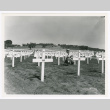 Pfc. Elmer L. Marcum kneeling at grave of Sgt. Kiyoshi Iguchi (ddr-densho-1007-170)
