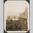 Hillside with river in background (ddr-densho-316-290)