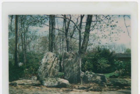Rock feature (ddr-densho-377-1959)