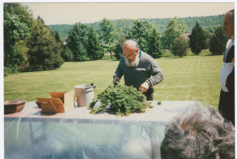 Kaneji Domoto's bonsai demonstration (ddr-densho-377-3016)