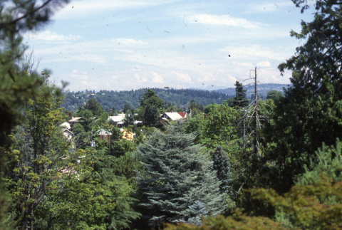 View of the Garden from the Overlook on top of the Mountainside (ddr-densho-354-1228)
