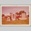 Color photo of grave marker, inscription in Japanese (ddr-densho-293-187)