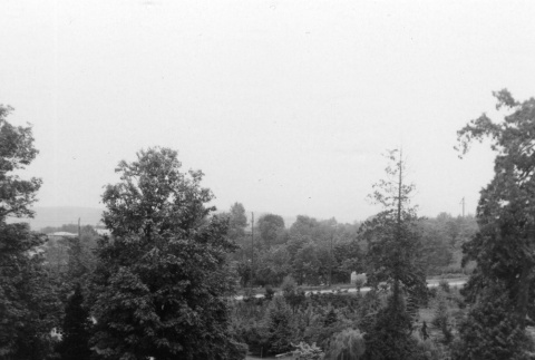 View of the Garden from the Mountainside (ddr-densho-354-590)